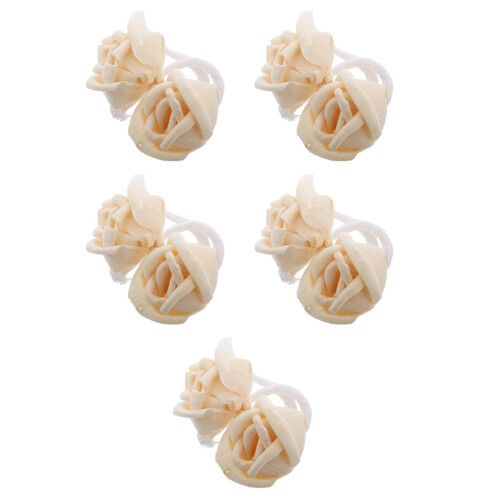 10Pièces Diffuseur Bois Fleurs Naturelles Beige Parfum Maison Bureau
