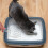 3Pièces Ramasse-Crottes Acier Inoxydable Pelle Litière Chat Résistante 9