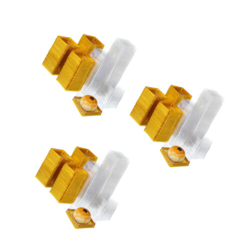 3Sets Vierkante Gouden Moon Cake Box Pet Plastic Sterk Sluit