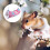 1Pièces Pour Hamster En Peluche Rose Cocon Suspendu Confortable 8