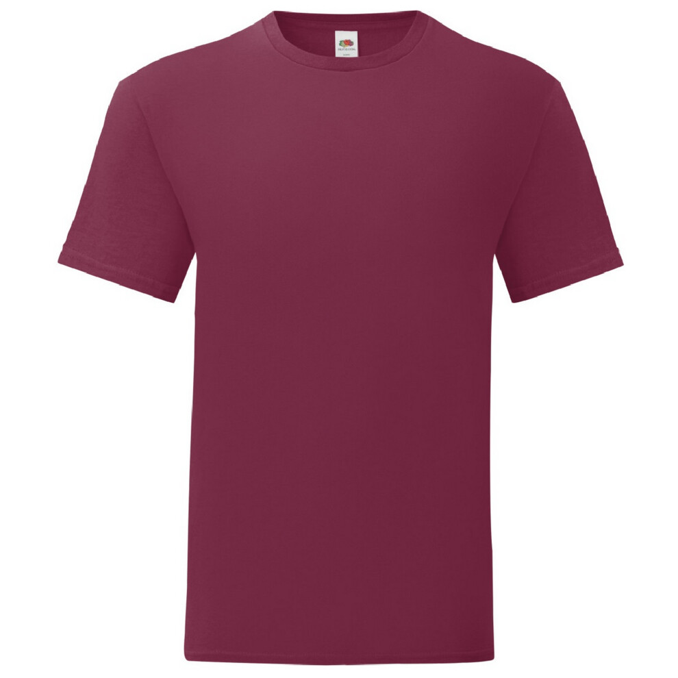 Fruit Of The Loom (L, Burgundy) Mens Iconic 150 T-Shirt Red,Multicoloured