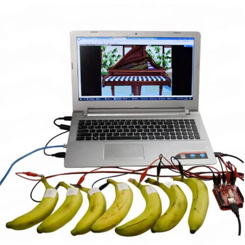 Analoges Touch-Key-USB-Board-Tastatur-Erweiterungsmodul für 2