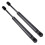 1 Pair Rear Tailgate Lift Support Gas Spring Shocks Struts for  Leaf Hatchback 2013 2014 2015 2016 2017 1