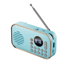 Portable FM Radio Rechargeable Small Wireless Speaker Surround Stereo Sound USB Vintage Radios