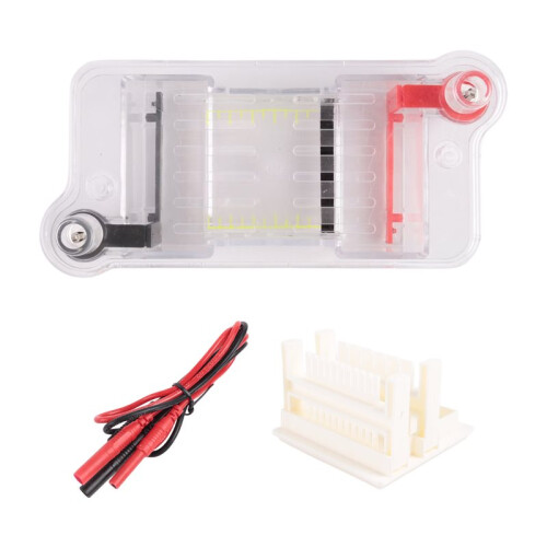 Horizontal Electrophoresis Tank Gel Experiment Biological Teaching Experimental Instrument Experimental Teaching Tool