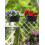 Black Iron Hanging Flower Pot for Balcony Rail 1