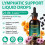 Lymphatic Drainage Drops – 6,000 mg Equivalent per Serving – Advanced Botanical 2