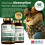 Vitamin B12 Tablets High Strength 1000mcg Sublingual Methylcobalamin, 3