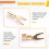 10 Pezzi HIFI Speaker Y Spade Fork Wire Connector U Type Banana Plug Speaker Terminal Amplifier Socket Brass Gold Plated 4