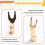 10 Pezzi HIFI Speaker Y Spade Fork Wire Connector U Type Banana Plug Speaker Terminal Amplifier Socket Brass Gold Plated 5