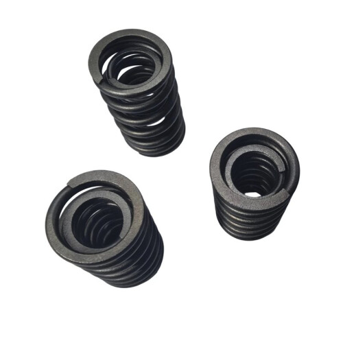 Motorboat Spark for  130 260 300 Valve Spring 1