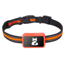 Collier Connecté 4G pour Chien avec Traceur GPS, Étanche, pour Chat, Localisation D'Animaux (Version Eurasienne)