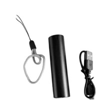 Portable 65nm UV Flashlight for Cat Ringworm Lamp Cat Urine Teasing Cat Medical Fungus Detection Ultraviolet Light