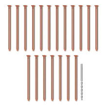 25Pcs Copper Nails, 3.14 Inch Long Pure Copper Nails Bulk with Drill Bit, Remove Stake Nails Hardware Nails for Trees