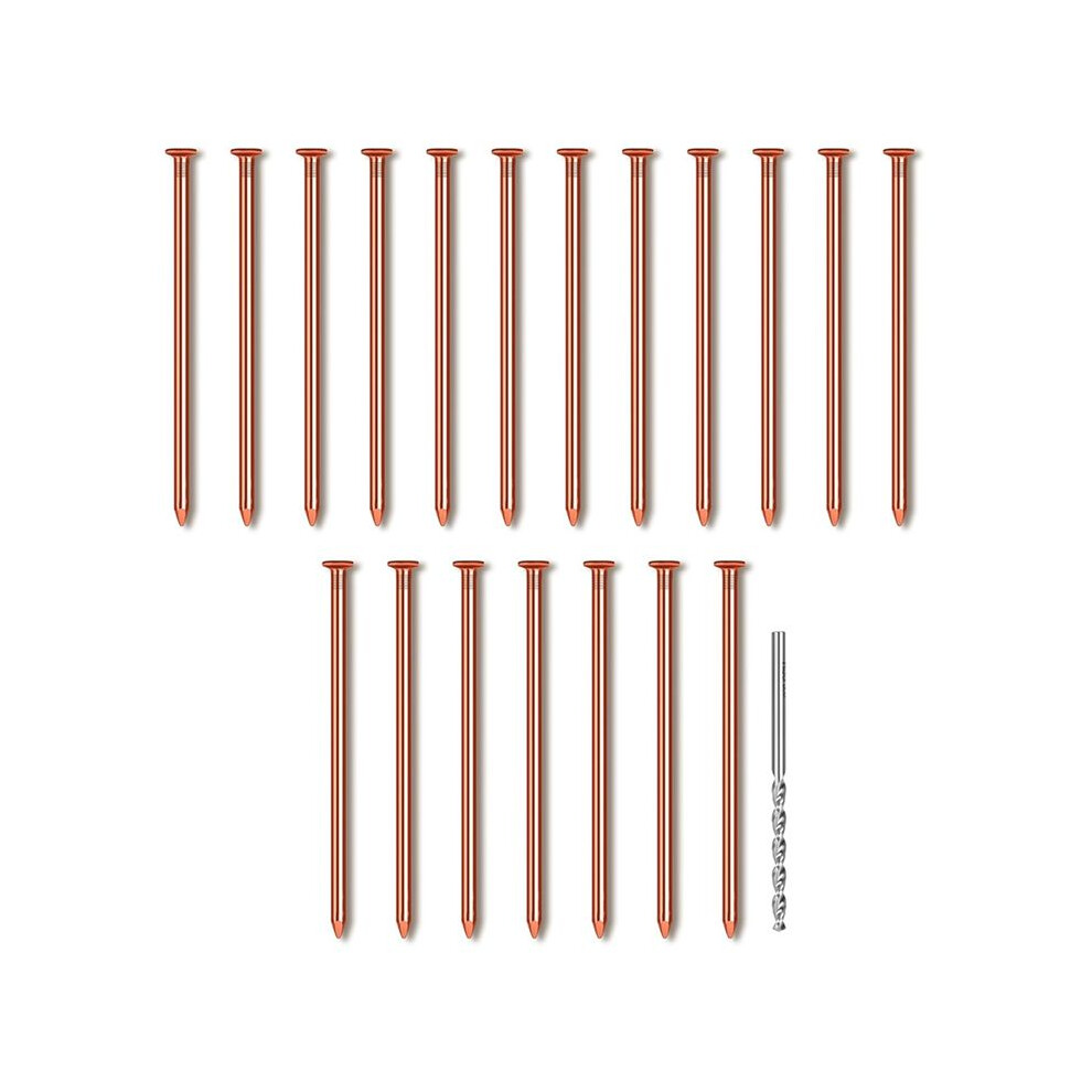 Photos - Nail / Screw / Fastener 25Pcs Copper Nails, 3.14 Inch Long Pure Copper Nails Bulk with Drill Bit, Remove Stake Nails Hardware Nails for Trees