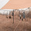 ShineTrip Outdoor Multi-Function Clothesline Can Adjust Non-Slip Sky Curtain Hanging Rope Windproof Hanging Clothes Hook Black 2