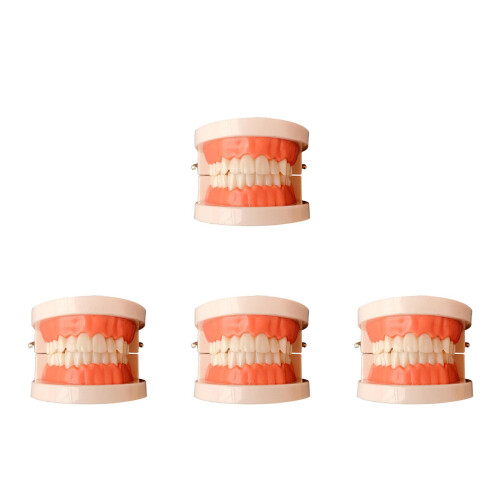 4Pièces En Bois Coloré Pour Éducation Bucco- 2