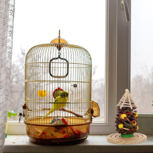 À Mâcher Pour Oiseaux Bois Naturel Pomme De Pin 2