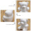 2Pièces Supports Ours Blancs En Mousse Pour Sculpture Fleurs 6