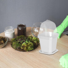 10Sets Compacte Pottenset Voor Kamerplanten Met Herbruikbare Schotel
