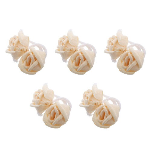 10Pièces Diffuseur Bois Fleurs Naturelles Beige Parfum Maison Bureau 1