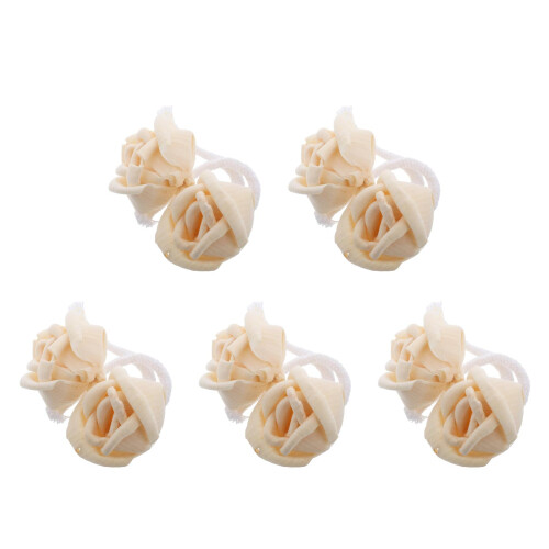 10Pièces Diffuseur Bois Fleurs Naturelles Beige Parfum Maison Bureau 2
