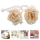 10Pièces Diffuseur Bois Fleurs Naturelles Beige Parfum Maison Bureau 8