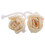 10Pièces Diffuseur Bois Fleurs Naturelles Beige Parfum Maison Bureau 11