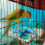 Perroquet Hemp Suspendue Pour Cage 3
