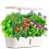 Advanced Indoor Hydroponics System: LED Grow Light,  Water Pump, 12 Pods - White US Plug 3