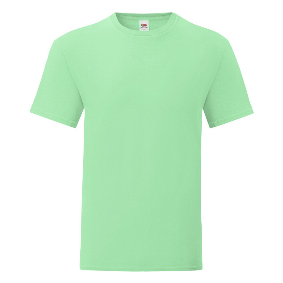 Fruit Of The Loom (L, Neo Mint) Mens Iconic T-Shirt Multicoloured
