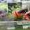 Garden Hose Nozzle Sprayer 10 Modes High Pressure Handheld Watering Tool 10