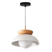 Claeted Modern LED Pendant Light for Diverse Spaces, E27, Metal, 220V