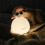Cute Animal Night Light for Dorm 8