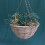 Brown Rattan Hanging Garden Planter 14