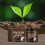 MoonSpry Soil Activator, Plant Nutrient Supplement for Seed Germination Soil Improvement 2