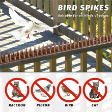 10pcs Plastic Bird Repeller Removable Squirrel Cat and Repeller Anti-Climbing Spikes Fence Wall Protection Spikes