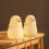 Cute Duck Bedside Night Light 6