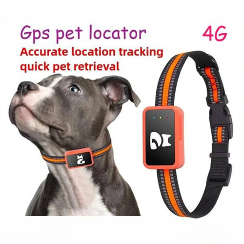 Collier Connecté 4G pour Chien avec Traceur GPS, Étanche, pour Chat, Localisation D'Animaux (Version Eurasienne) 2