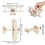 12Pièces En Bois À Assembler Kit 3D Couleur Naturelle 2