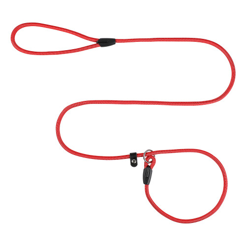 1Laisse De Promenade Pour Chiot Nylon Résistant Durable