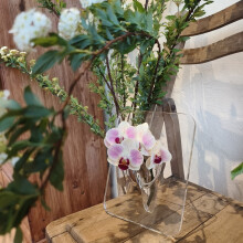 Picture Frame Acrylic Vase – Eye Catching