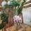 Picture Frame Acrylic Vase – Eye Catching 1