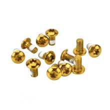 12 Bulloni Torx T25 M5x10mm In Acciaio Inossidabile per Rotore del Freno A Disco Della Bicicletta, Viti di Fissaggio per Bici da Strada e Mountain