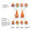 Multi-Functional Car Fuse Puller Checker Removal Tool Blade Type Fuse Tester Auto Repair Tool 6