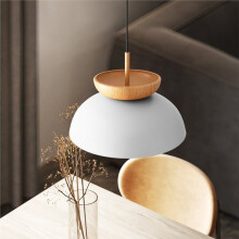 Claeted Modern LED Pendant Light for Diverse Spaces, E27, Metal, 220V