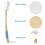Lotion Applicator for Back, Feet, 8 Replaceable Pads, 2 Long Handle, Back Lotion Applicator for Seniors, Women 6