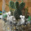 12Pièces Champignons Résine Blancs Figurines Miniatures Décor 3