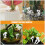 12Pièces Champignons Résine Blancs Figurines Miniatures Décor 5