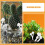 12Pièces Champignons Résine Blancs Figurines Miniatures Décor 6